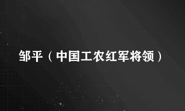 邹平（中国工农红军将领）