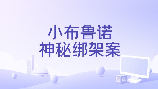 小布鲁诺神秘绑架案