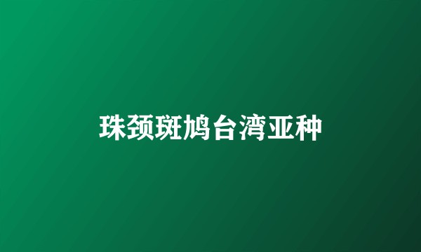 珠颈斑鸠台湾亚种