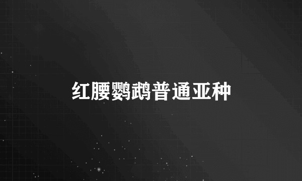 红腰鹦鹉普通亚种