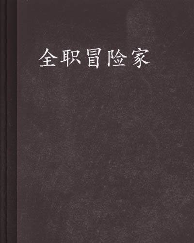 全职冒险家（小说）