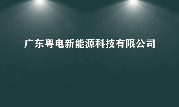 广东粤电新能源科技有限公司