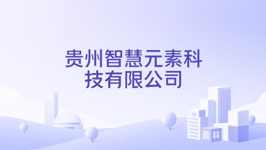贵州智慧元素科技有限公司