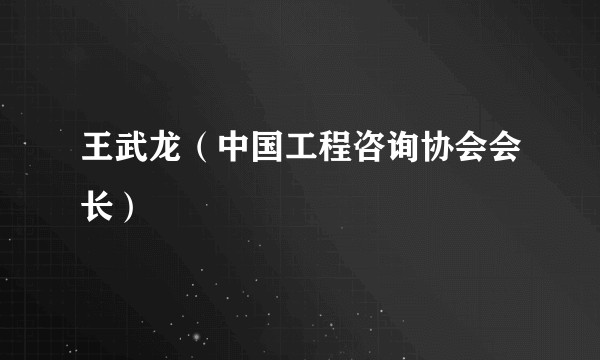 王武龙（中国工程咨询协会会长）