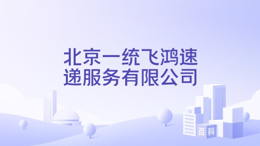 北京一统飞鸿速递服务有限公司