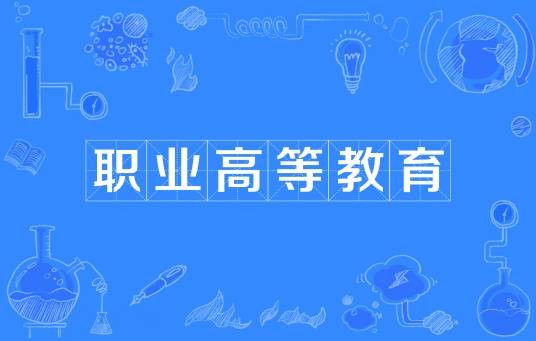 职业高等教育