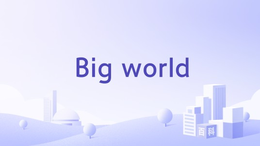 Big world（BigWorld公司）