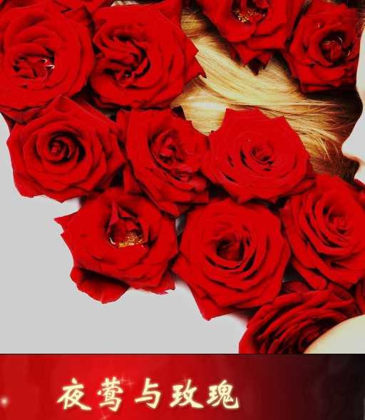 夜莺与玫瑰（畸藤斋创作的网络小说）