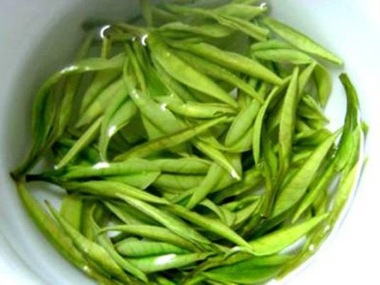 紫笋茶