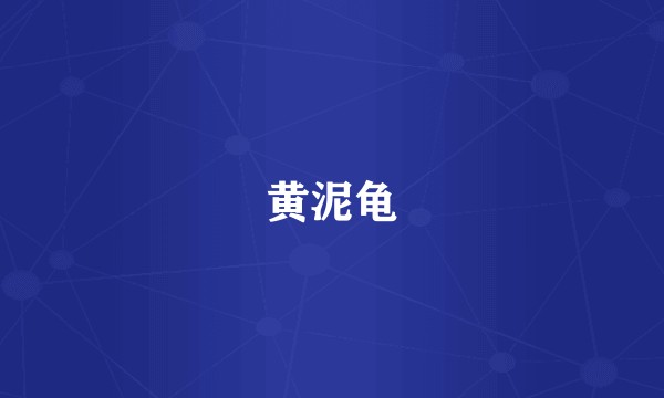 黄泥龟
