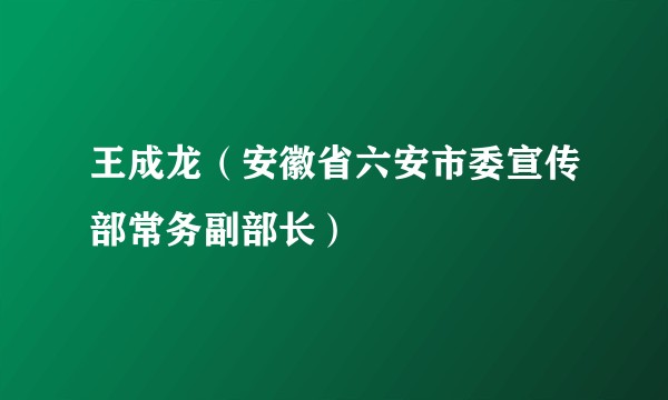 王成龙（安徽省六安市委宣传部常务副部长）