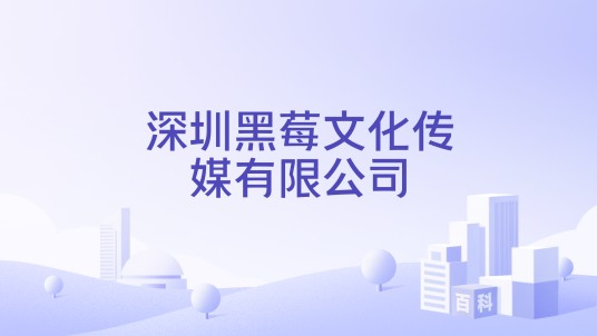 深圳黑莓文化传媒有限公司