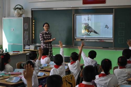 小学教育（中国普通高等学校本科专业）