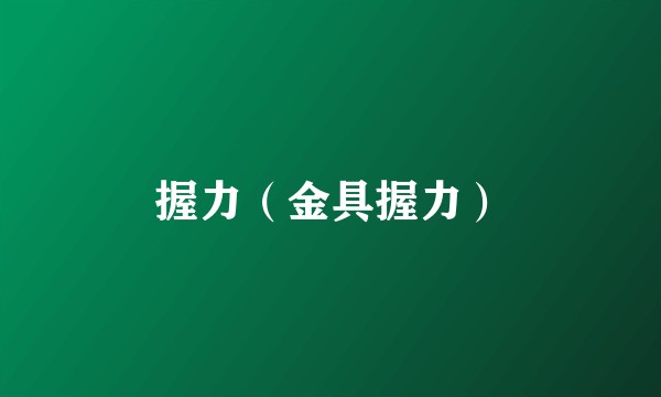 握力（金具握力）