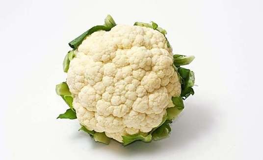 阿波罗(植物)