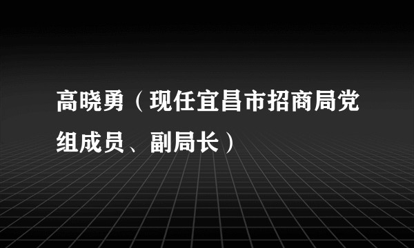 高晓勇（现任宜昌市招商局党组成员、副局长）