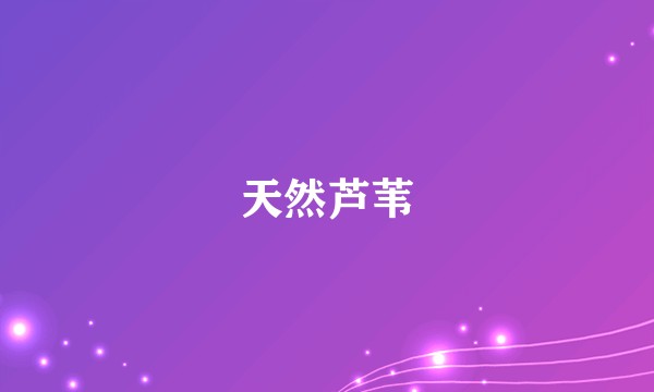 天然芦苇