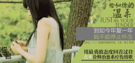 恰似你的温柔（2012年刘惜君演唱的歌曲）