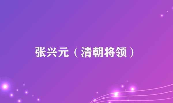 张兴元（清朝将领）