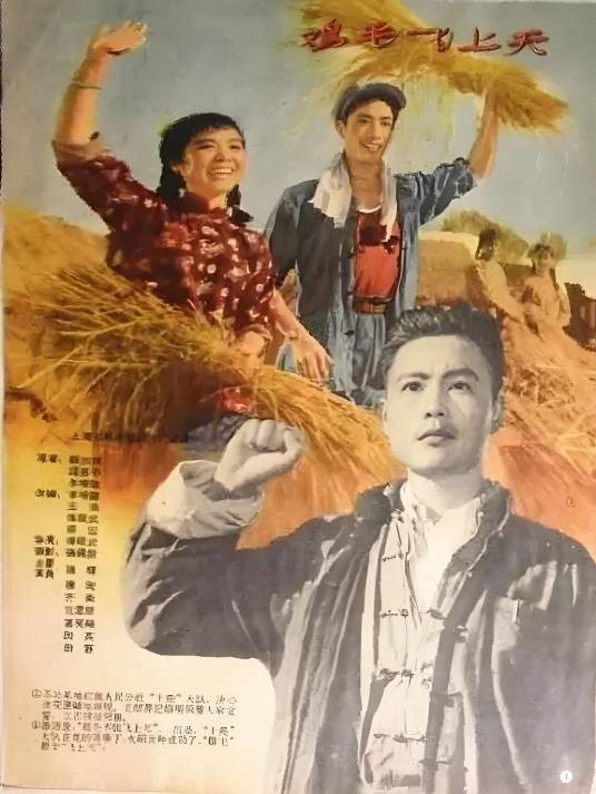 鸡毛飞上天（1960年杨观复执导沪剧）