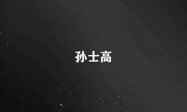 孙士高