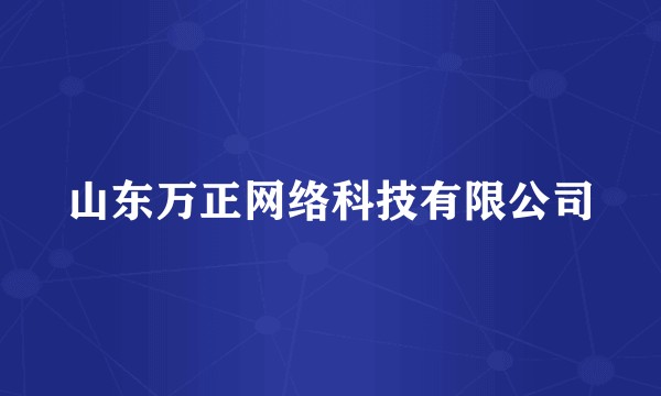 山东万正网络科技有限公司