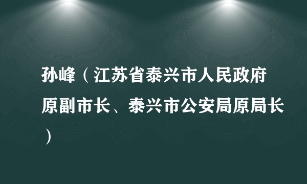 孙峰（江苏省泰兴市人民政府原副市长、泰兴市公安局原局长）