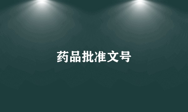 药品批准文号