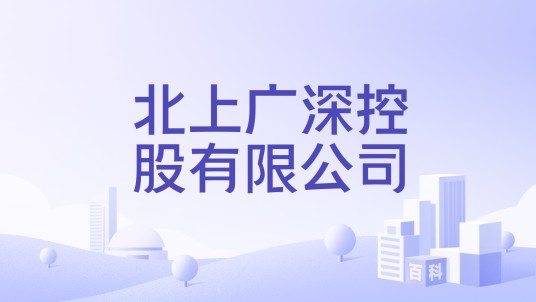 北上广深控股有限公司