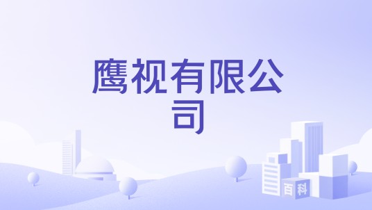 鹰视有限公司