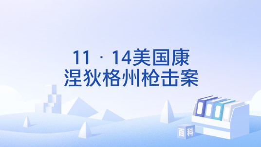 11·14美国康涅狄格州枪击案