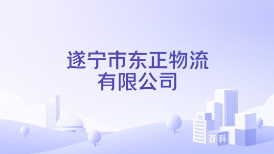 遂宁市东正物流有限公司