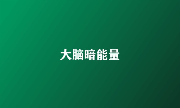 大脑暗能量