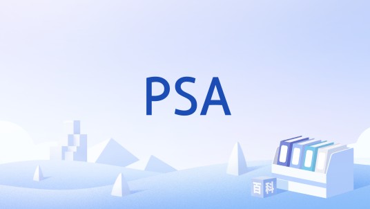 PSA(公共事业管理术语)