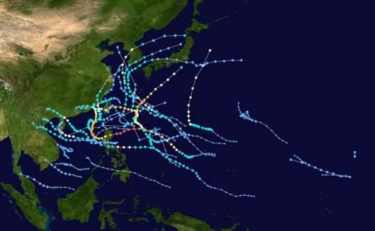 2010年太平洋台风季