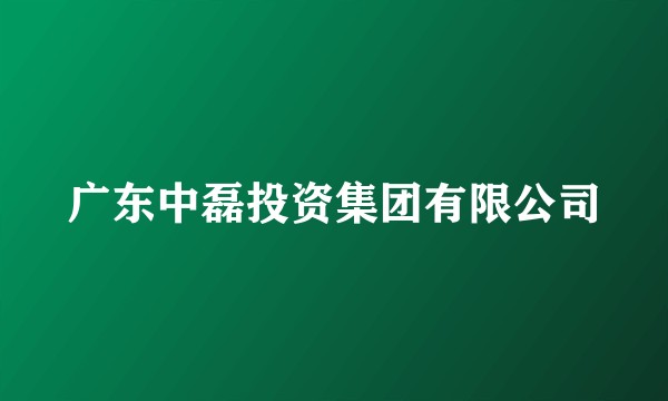 广东中磊投资集团有限公司