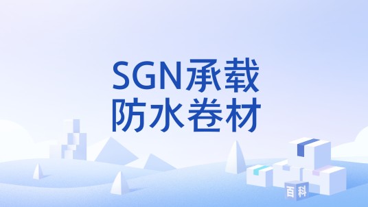 SGN承载防水卷材