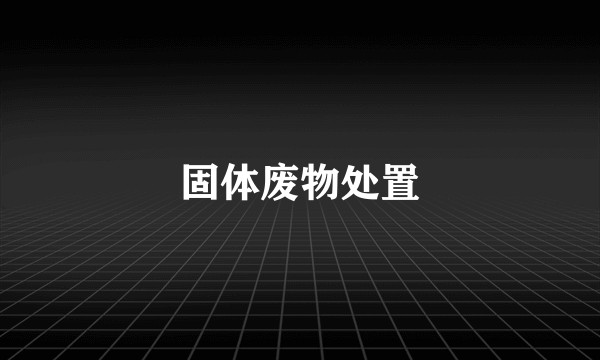 固体废物处置