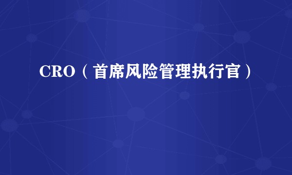 CRO（首席风险管理执行官）