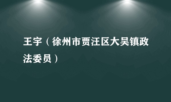 王宇（徐州市贾汪区大吴镇政法委员）
