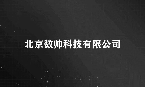 北京数帅科技有限公司