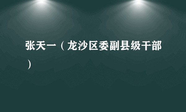张天一（龙沙区委副县级干部）