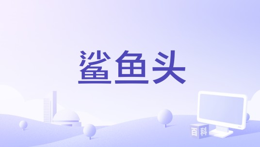 鲨鱼头（Mária Procházková执导的电影）