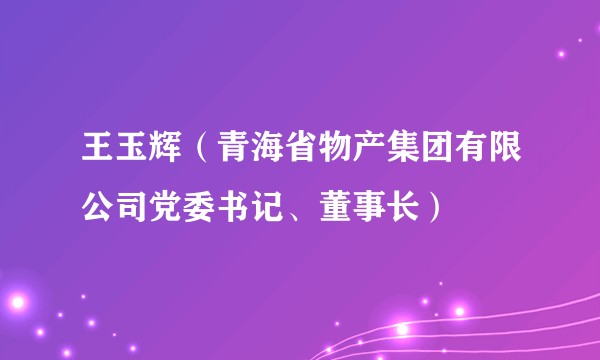 王玉辉（青海省物产集团有限公司党委书记、董事长）
