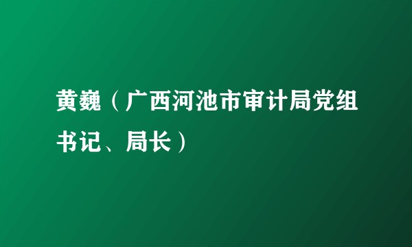 黄巍（广西河池市审计局党组书记、局长）