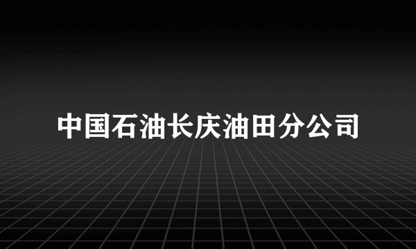 中国石油长庆油田分公司