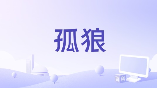孤狼(2016年上映的美国电影)