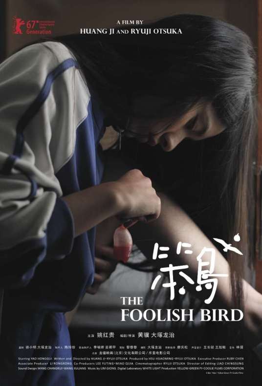 笨鸟（笨鸟（2017年黄骥、大冢龙治导演的电影））