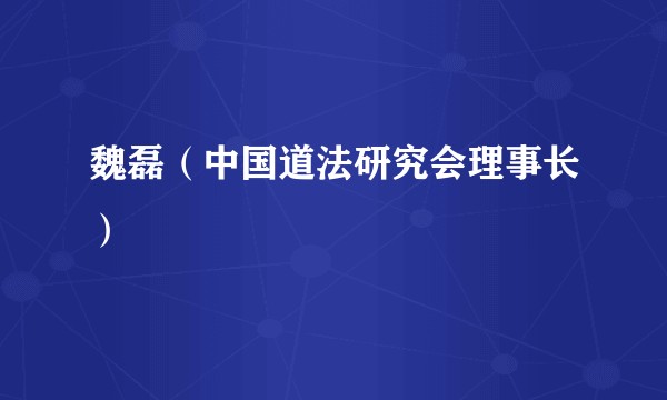 魏磊（中国道法研究会理事长）