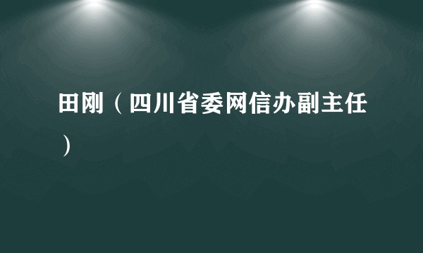 田刚（四川省委网信办副主任）